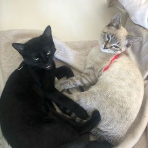 Meet your Posher, Elizabeth